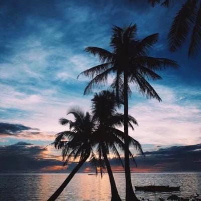 صنم سید avatar